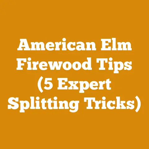American Elm Firewood Tips (5 Expert Splitting Tricks)