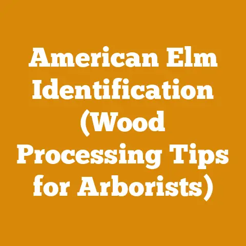American Elm Identification (Wood Processing Tips for Arborists)