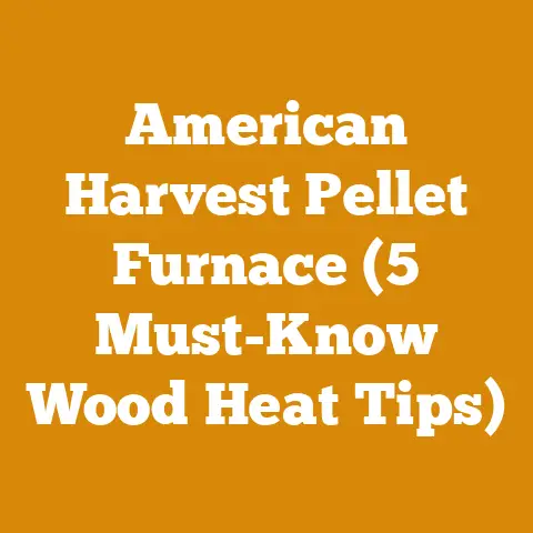 American Harvest Pellet Furnace (5 Must-Know Wood Heat Tips)