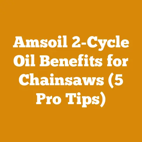 Amsoil 2-Cycle Oil Benefits for Chainsaws (5 Pro Tips)