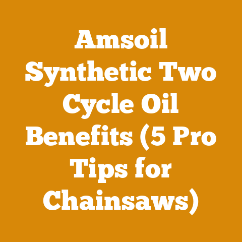 Amsoil Synthetic Two Cycle Oil Benefits (5 Pro Tips for Chainsaws)