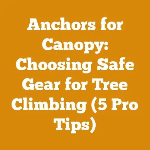 Anchors for Canopy: Choosing Safe Gear for Tree Climbing (5 Pro Tips)