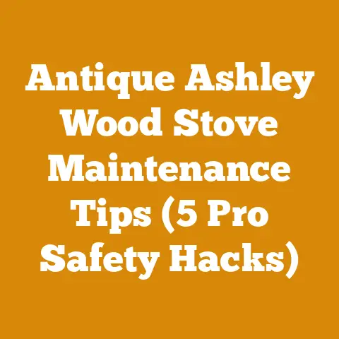 Antique Ashley Wood Stove Maintenance Tips (5 Pro Safety Hacks)