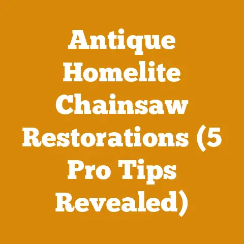 Antique Homelite Chainsaw Restorations (5 Pro Tips Revealed)