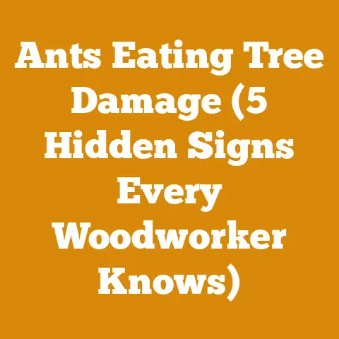 Ants Eating Tree Damage (5 Hidden Signs Every Woodworker Knows)