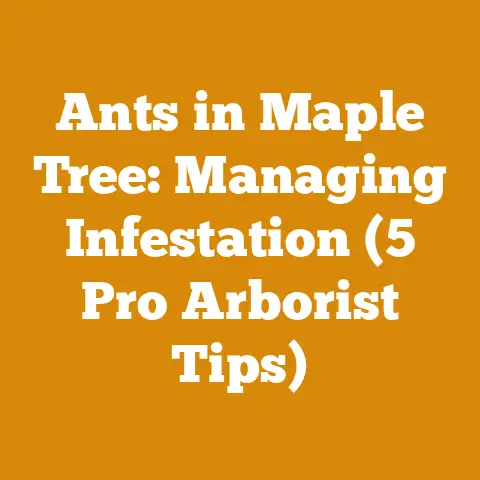 Ants in Maple Tree: Managing Infestation (5 Pro Arborist Tips)