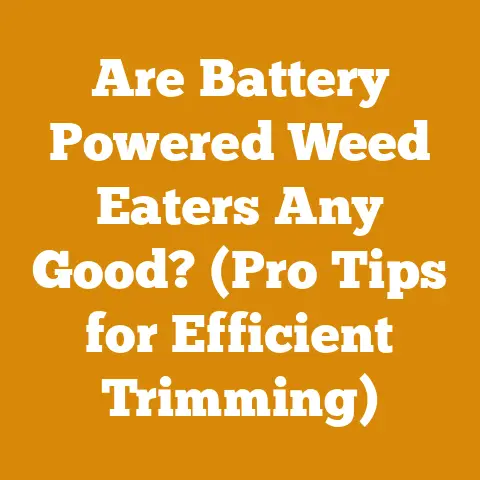 Are Battery Powered Weed Eaters Any Good? (Pro Tips for Efficient Trimming)