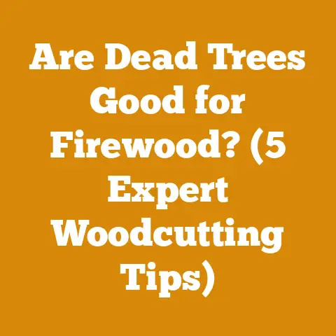 Are Dead Trees Good for Firewood? (5 Expert Woodcutting Tips)