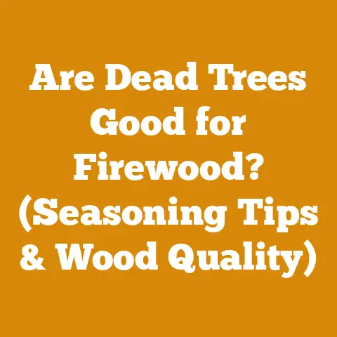 Are Dead Trees Good for Firewood? (Seasoning Tips & Wood Quality)
