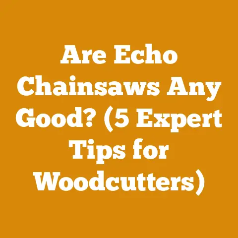 Are Echo Chainsaws Any Good? (5 Expert Tips for Woodcutters)