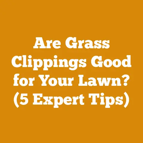 Are Grass Clippings Good for Your Lawn? (5 Expert Tips)