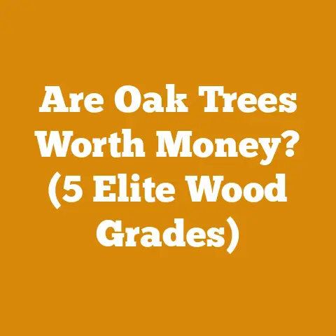 Are Oak Trees Worth Money? (5 Elite Wood Grades)
