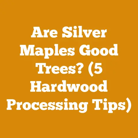 Are Silver Maples Good Trees? (5 Hardwood Processing Tips)