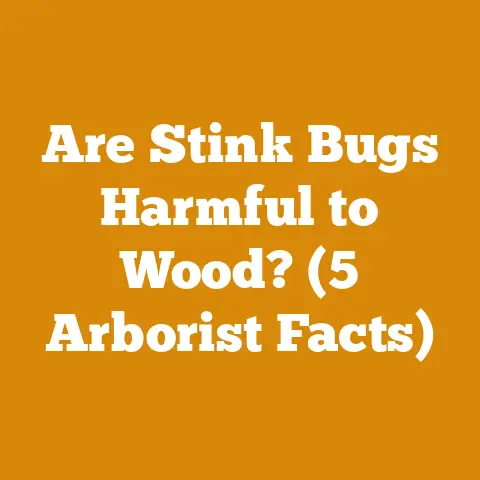 Are Stink Bugs Harmful to Wood? (5 Arborist Facts)