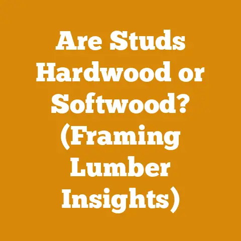 Are Studs Hardwood or Softwood? (Framing Lumber Insights)