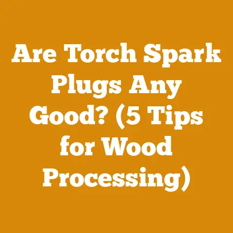 Are Torch Spark Plugs Any Good? (5 Tips for Wood Processing)