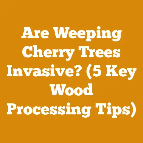 Are Weeping Cherry Trees Invasive? (5 Key Wood Processing Tips)