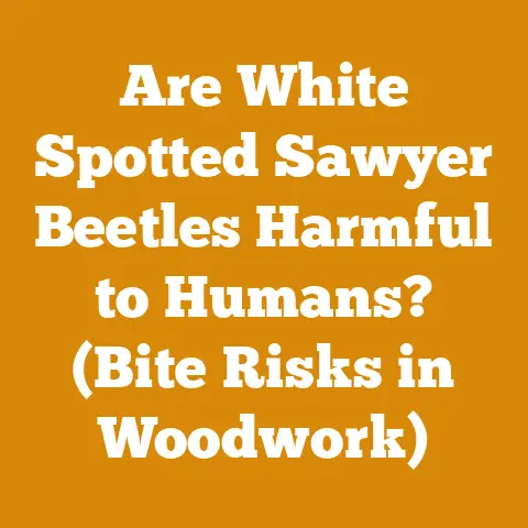 Are White Spotted Sawyer Beetles Harmful to Humans? (Bite Risks in Woodwork)