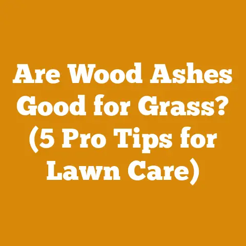 Are Wood Ashes Good for Grass? (5 Pro Tips for Lawn Care)