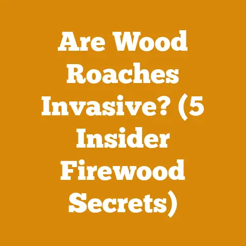 Are Wood Roaches Invasive? (5 Insider Firewood Secrets)