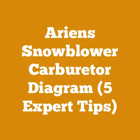 Ariens Snowblower Carburetor Diagram (5 Expert Tips)