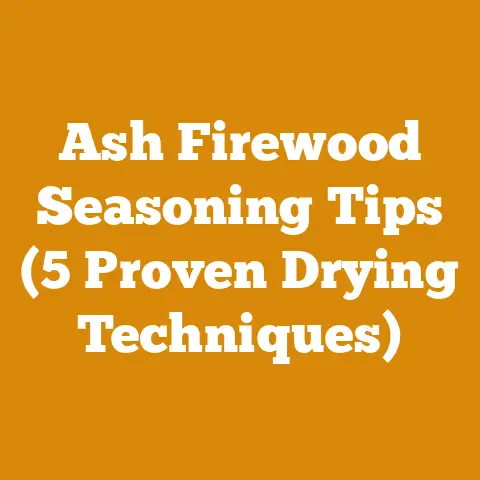 Ash Firewood Seasoning Tips (5 Proven Drying Techniques)
