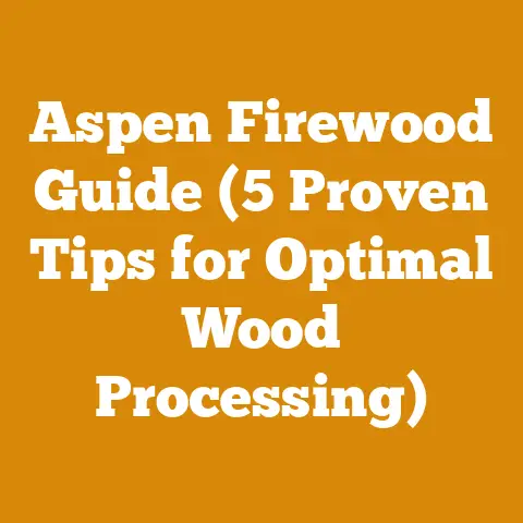 Aspen Firewood Guide (5 Proven Tips for Optimal Wood Processing)