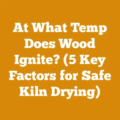 At What Temp Does Wood Ignite? (5 Key Factors for Safe Kiln Drying)