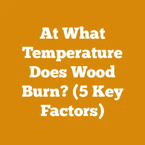 At What Temperature Does Wood Burn? (5 Key Factors)