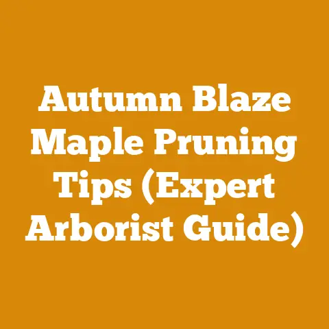 Autumn Blaze Maple Pruning Tips (Expert Arborist Guide)