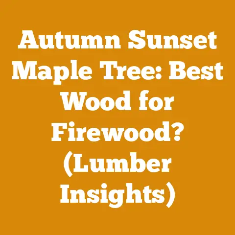 Autumn Sunset Maple Tree: Best Wood for Firewood? (Lumber Insights)