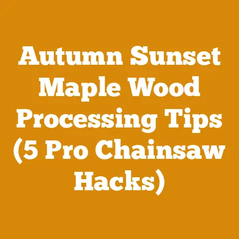 Autumn Sunset Maple Wood Processing Tips (5 Pro Chainsaw Hacks)