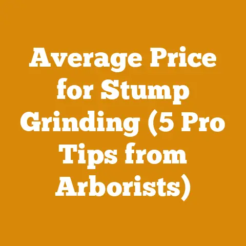Average Price for Stump Grinding (5 Pro Tips from Arborists)