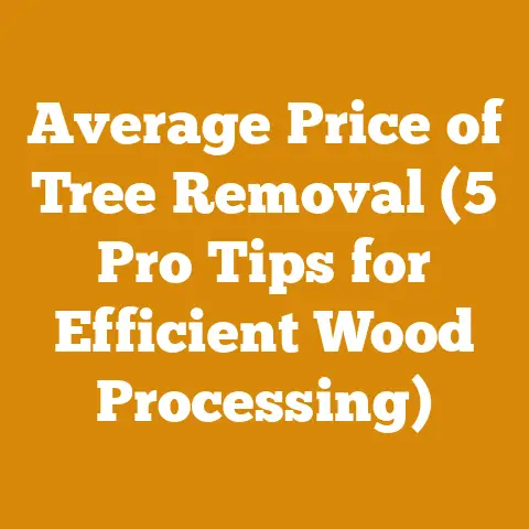 Average Price of Tree Removal (5 Pro Tips for Efficient Wood Processing)