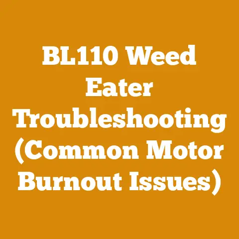 BL110 Weed Eater Troubleshooting (Common Motor Burnout Issues)