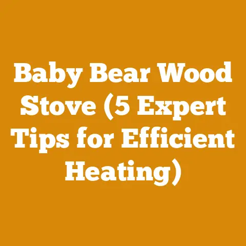 Baby Bear Wood Stove (5 Expert Tips for Efficient Heating)