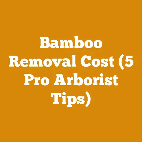 Bamboo Removal Cost (5 Pro Arborist Tips)