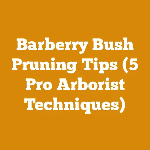 Barberry Bush Pruning Tips (5 Pro Arborist Techniques)