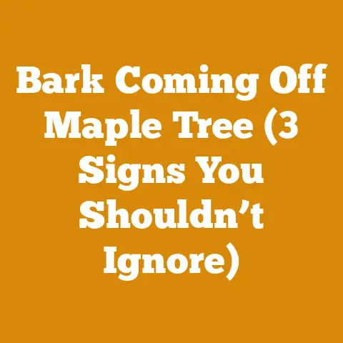 Bark Coming Off Maple Tree (3 Signs You Shouldn’t Ignore)
