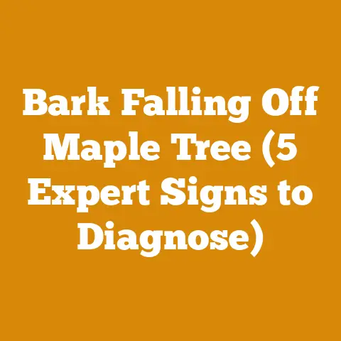 Bark Falling Off Maple Tree (5 Expert Signs to Diagnose)