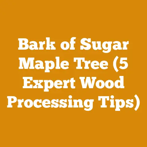Bark of Sugar Maple Tree (5 Expert Wood Processing Tips)