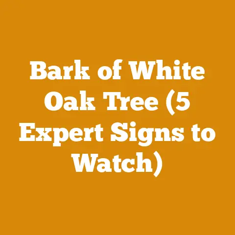 Bark of White Oak Tree (5 Expert Signs to Watch)