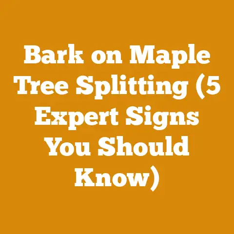 Bark on Maple Tree Splitting (5 Expert Signs You Should Know)