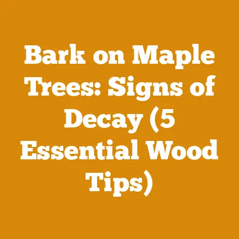Bark on Maple Trees: Signs of Decay (5 Essential Wood Tips)