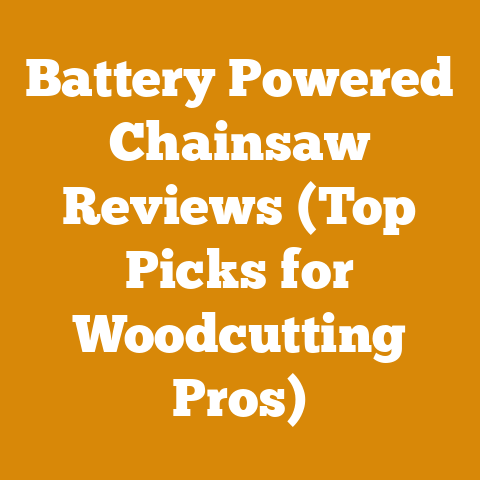 Battery Powered Chainsaw Reviews (Top Picks for Woodcutting Pros)