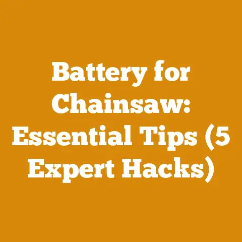 Battery for Chainsaw: Essential Tips (5 Expert Hacks)
