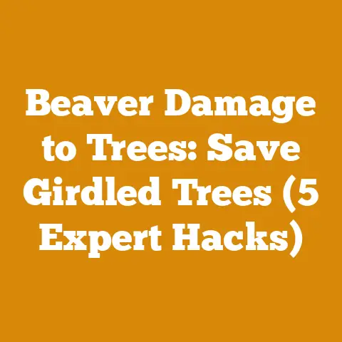 Beaver Damage to Trees: Save Girdled Trees (5 Expert Hacks)