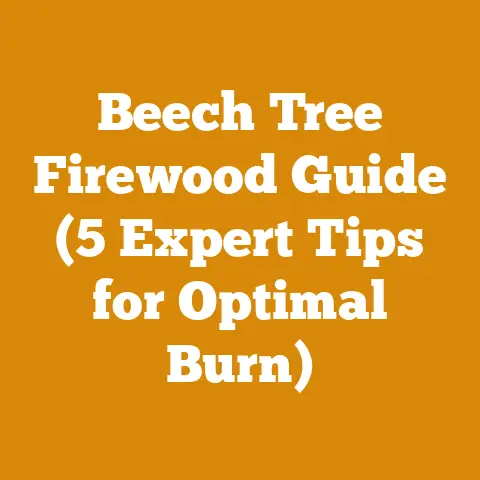 Beech Tree Firewood Guide (5 Expert Tips for Optimal Burn)