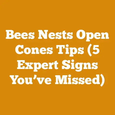 Bees Nests Open Cones Tips (5 Expert Signs You’ve Missed)