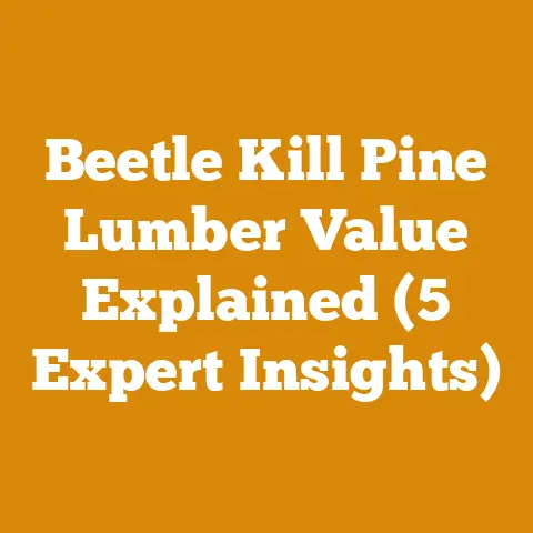 Beetle Kill Pine Lumber Value Explained (5 Expert Insights)